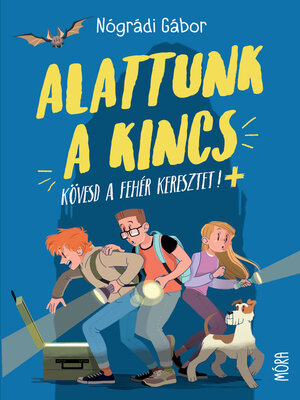 cover image of Alattunk a kincs
